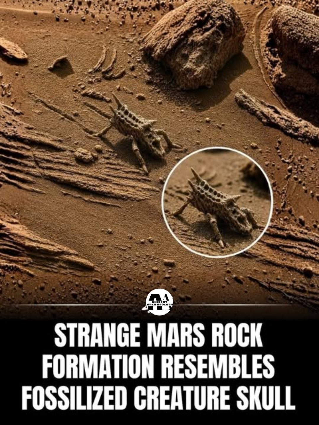 Có thể là hình ảnh về văn bản cho biết 'יתא A ooHCHT STRANGE MARS ROCK FORMATION RESEMBLES FOSSILIZED CREATURE SKULL'