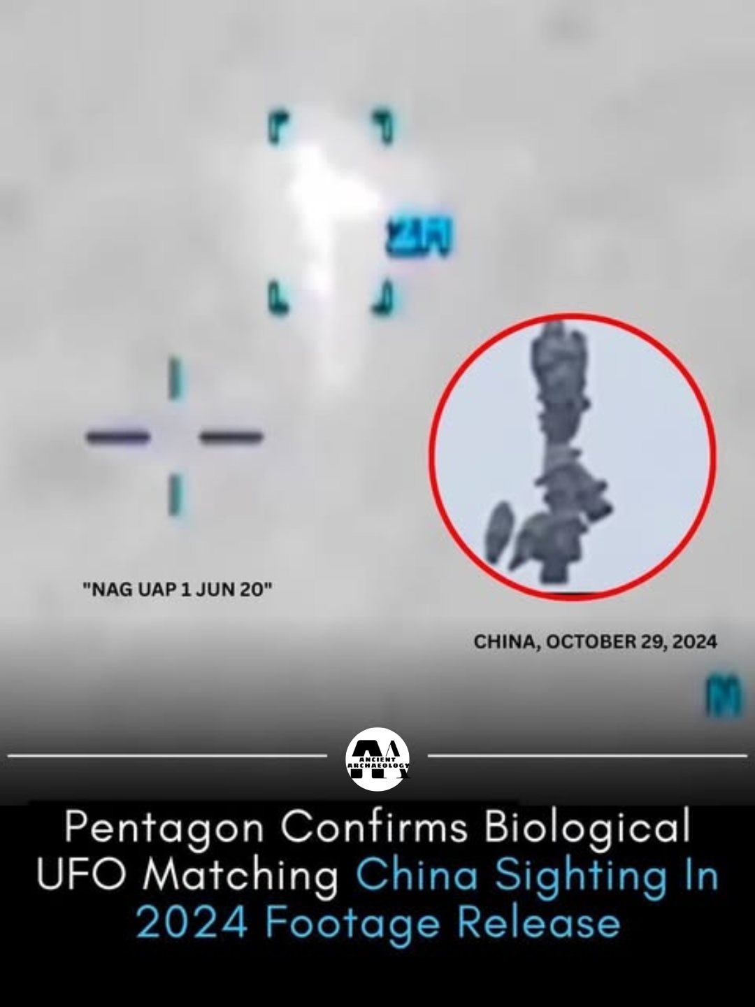 Có thể là hình ảnh về văn bản cho biết '보 "NAG UAP "NAGUAP1JUN20" 1 JUN 20" CHINA, O 29, CHINA,OCTOBER29,2024 2024 A110106 WAKO Pentagon Confirms Biological UFO Matching China Sighting In 2024 Footage Release'