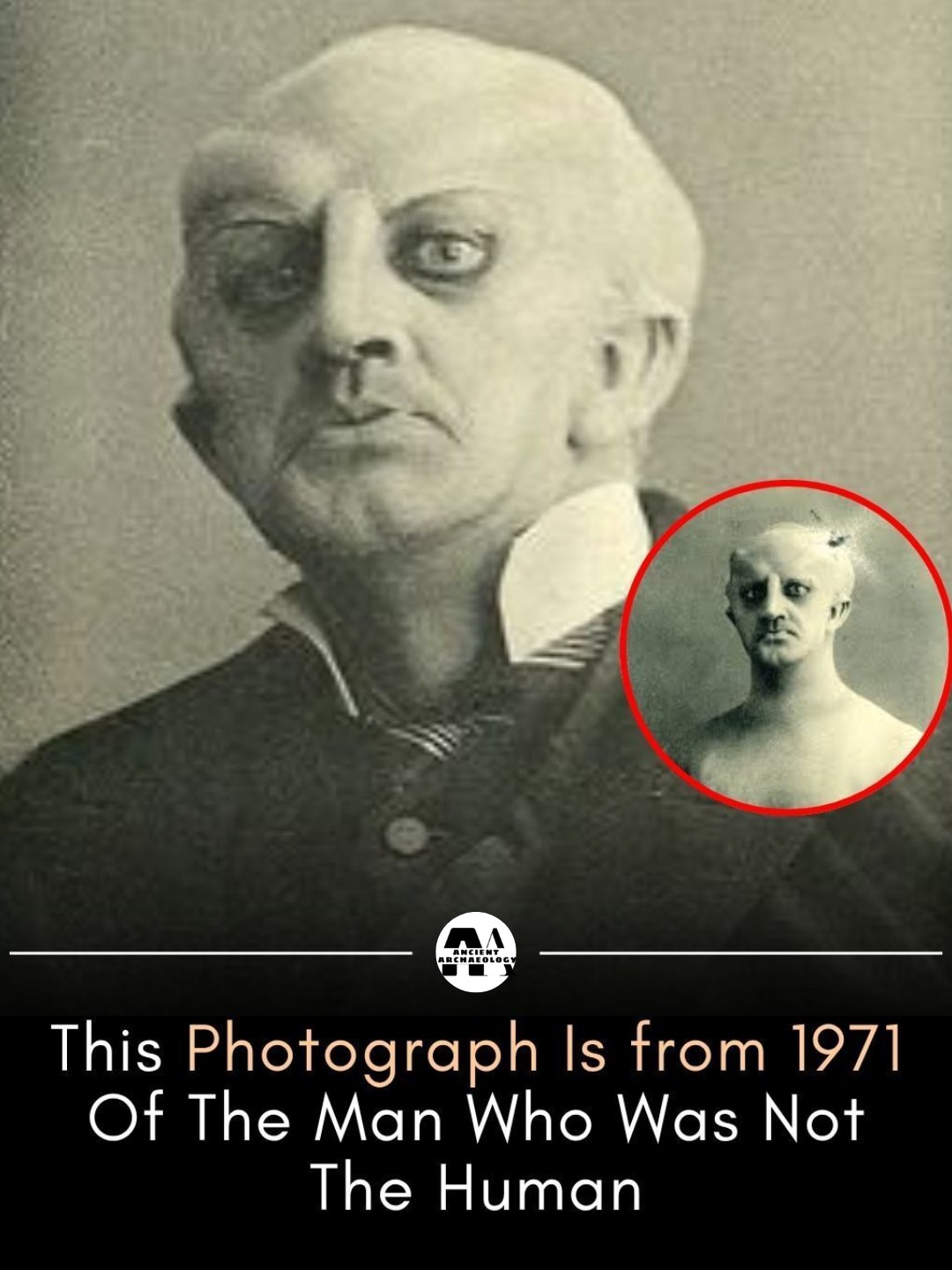 Có thể là hình ảnh về văn bản cho biết 'This PH๏τograph Is from 1971 Of The Man Who Was Not The Human'