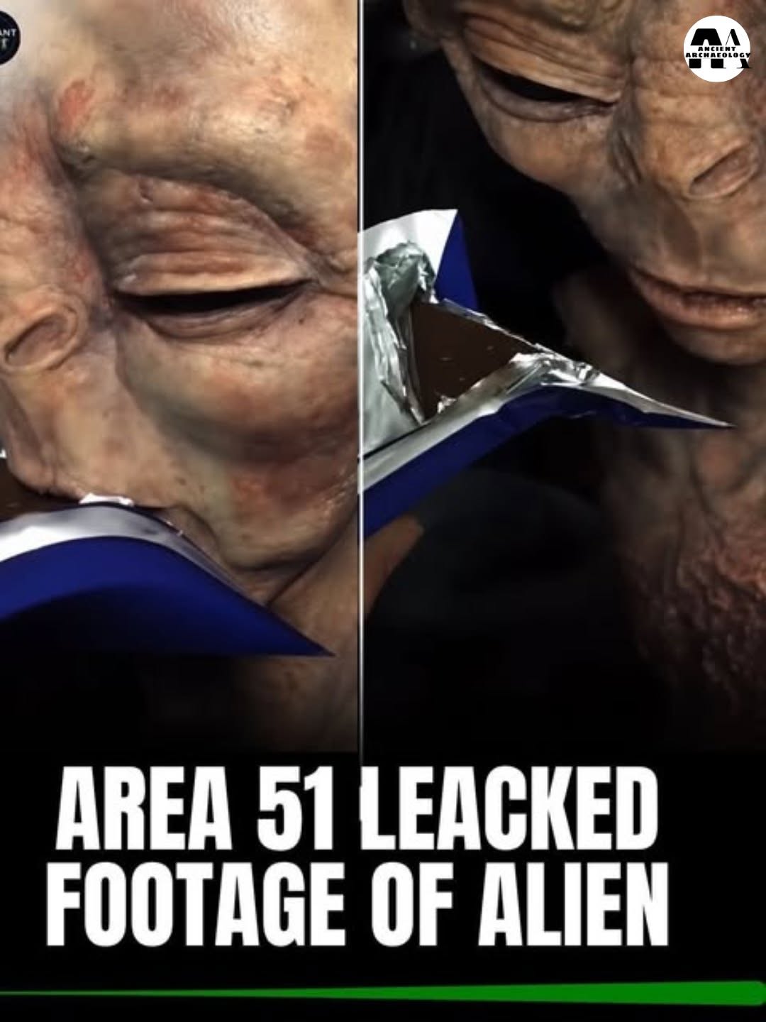 Có thể là hình ảnh về văn bản cho biết 'CREST 0GF 6 MA REO LOe ARCWREOLOGT AREA 51 LEACKED FOOTAGE OF ALIEN'