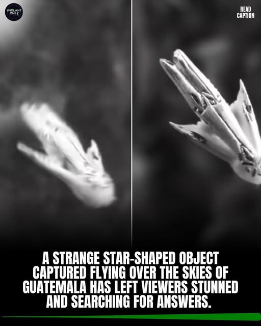 Có thể là hình ảnh về văn bản cho biết 'WItL WITLANT ONET READ CAPTION A STRANGE STAR-SHAPED OBJECT CAPTURED FLYING OVER THE SKIES OF GUATEMALA HAS LEFT VIEWERS STUNNED AND SEARCHING FOR ANSWERS.'