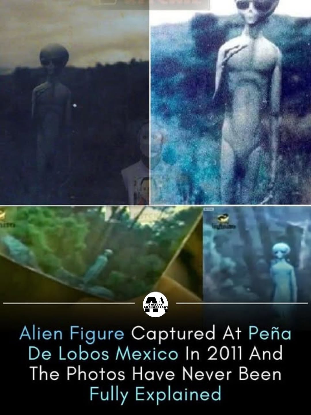May be an image of text that says "AA Alien Figure Captured At Peña De Lobos Mexico In 2011 And The PH๏τos Have Never Been Fully Explained"