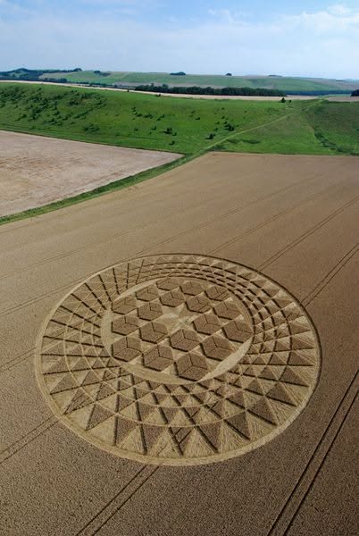 May be an image of combine and silo