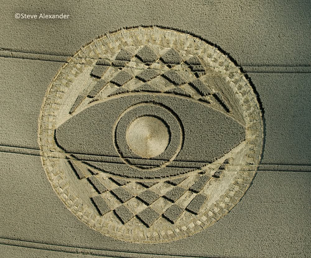 May be an image of text that says "©Steve Alexander"