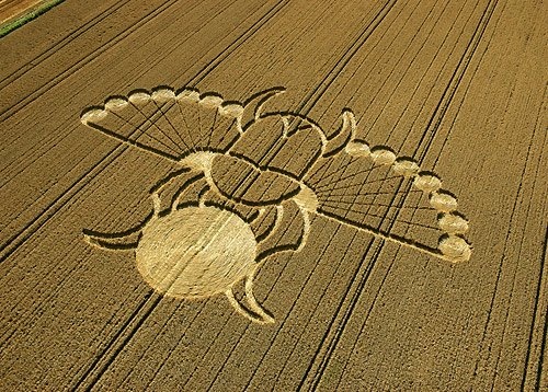 crop circles