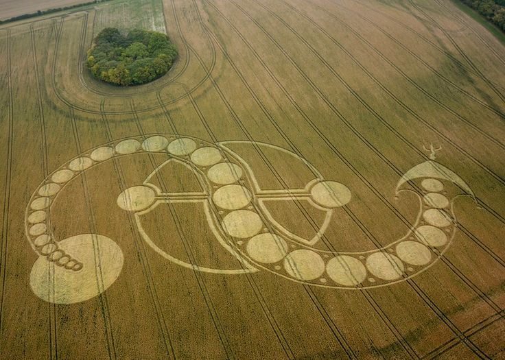 Crop circle near Inkpen, Wiltshire. via PH๏τography of England FB