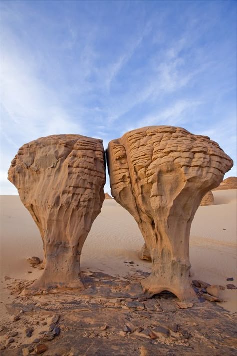Top 10 Amazing Animal Shaped Rock Formations
