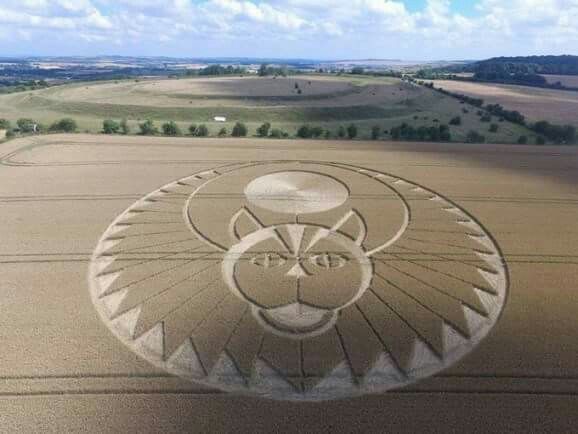 Huge Crop Circle near Ancient Fort in South Wiltshire | Crop ...