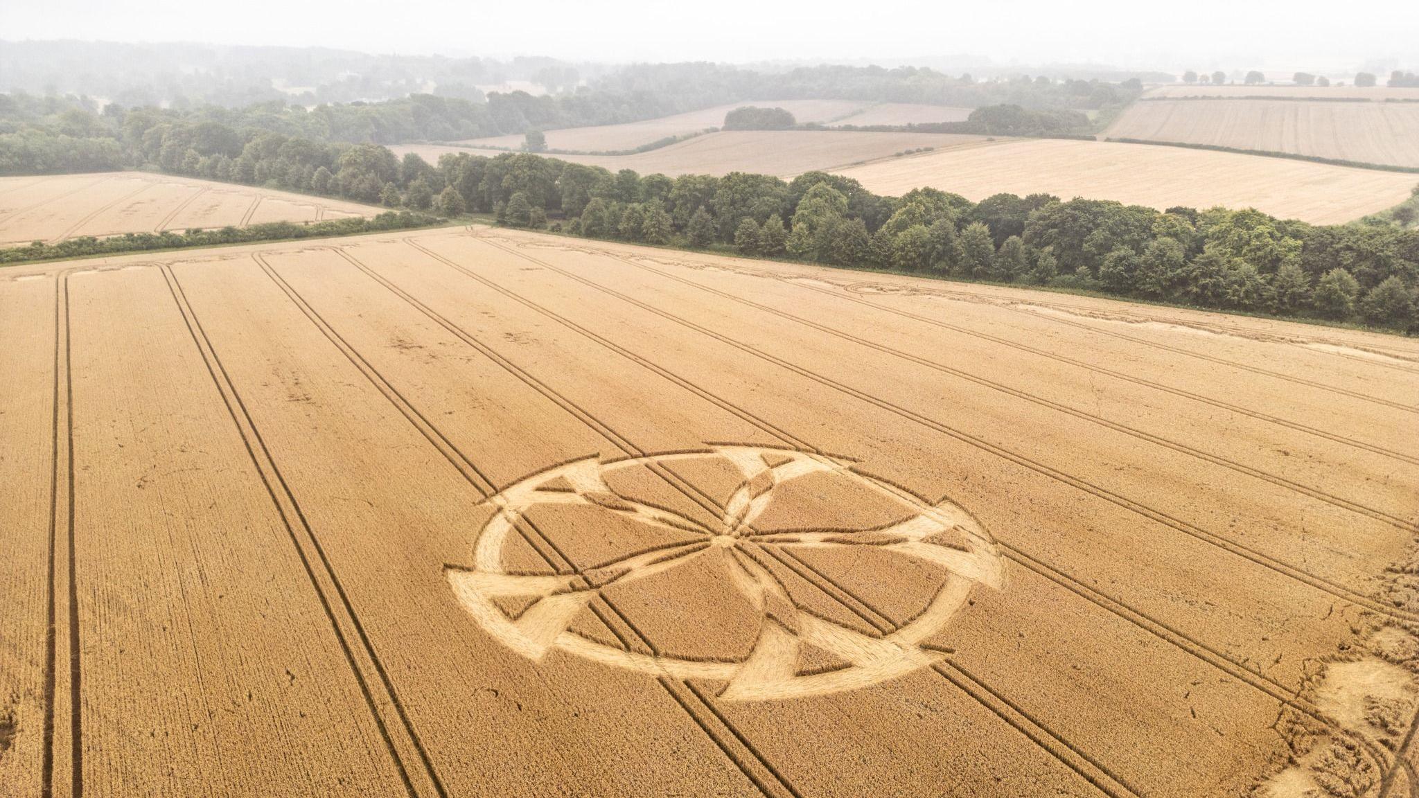 Crop circle appears near Badbury Rings - BBC News