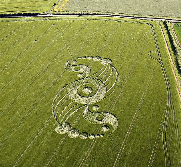 Huge Yin Yang crop circle discovered in Wiltshire