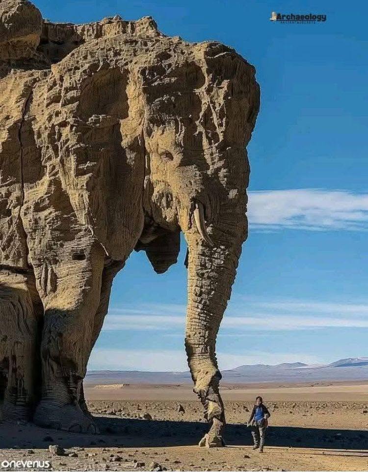 May be an image of elephant, monument and text that says "Arshagology onevenus"