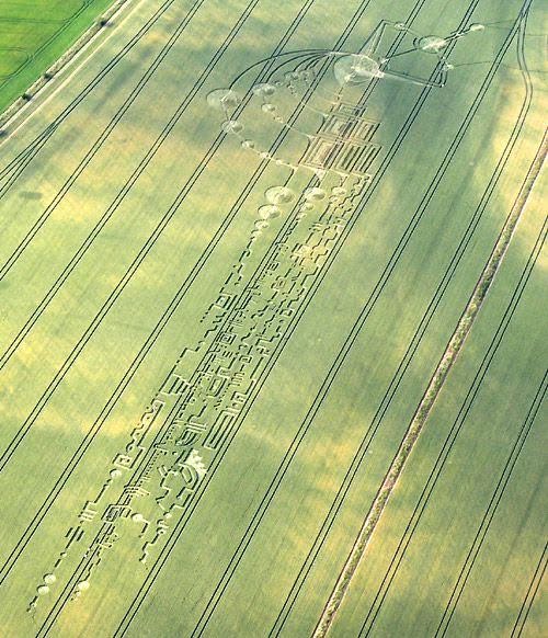 May be an image of aircraft