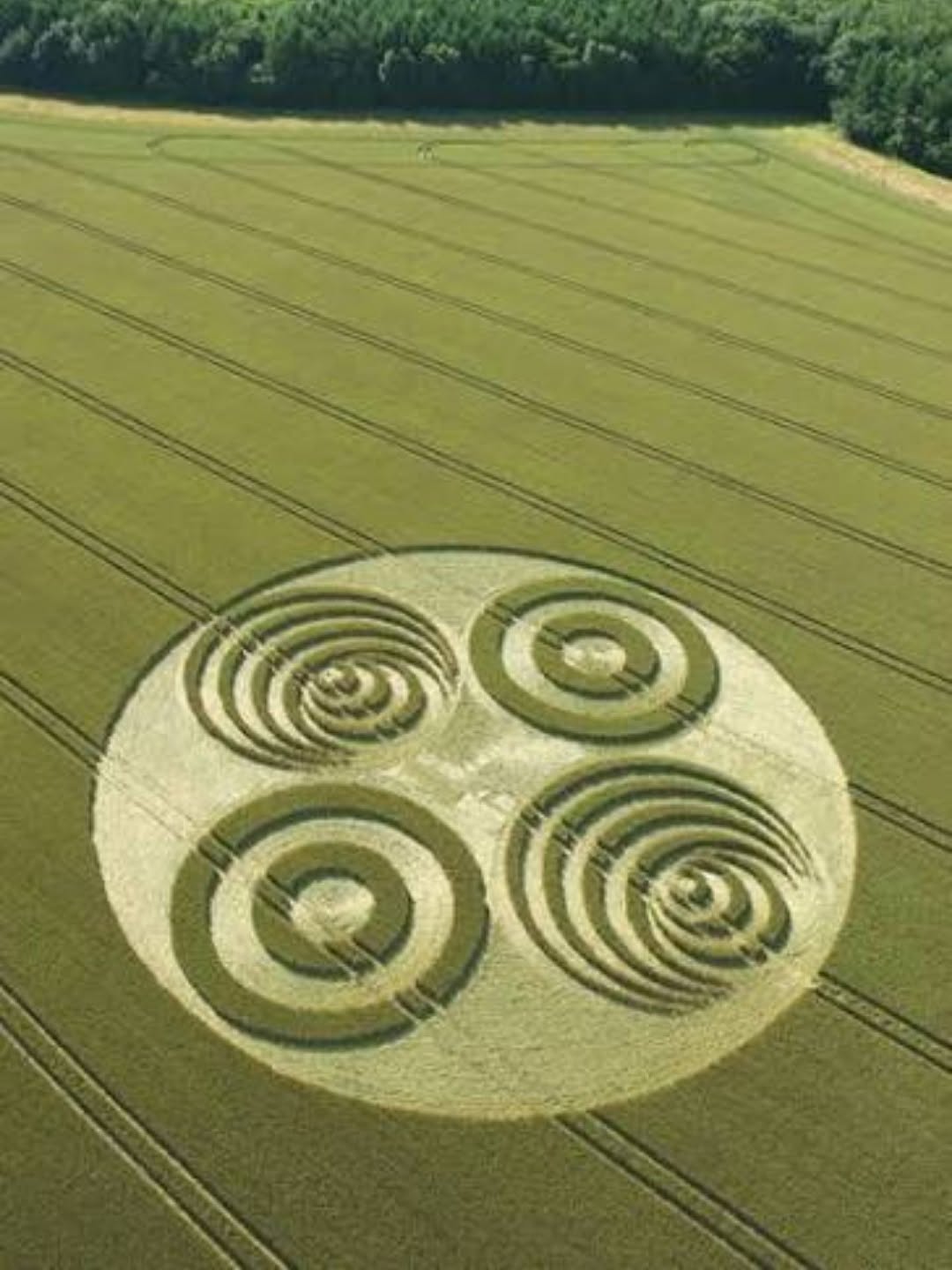 Không có mô tả ảnh.