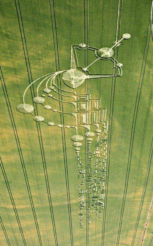Is this real? : r/cropcircles